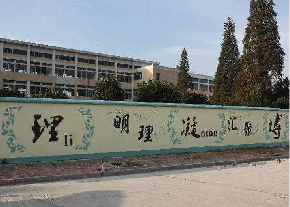 簡(jiǎn)約學(xué)校文化墻制作